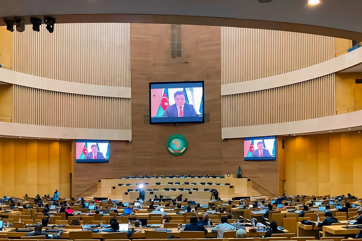 COP29 sədrliyi: Afrikanın ehtiyacları və problemləri fəaliyyətimizin mərkəzindədir