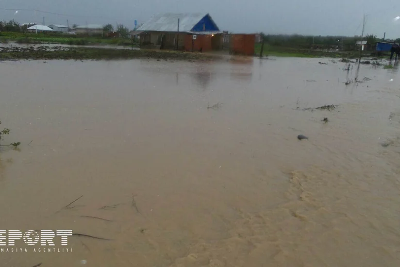 Masallıda çayların daşması nəticəsində 40-a yaxın yaşayış evinin ərazisini su basıb