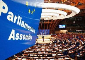 ПА ОБСЕ обратилась к Сирии в связи с Грузией и Украиной