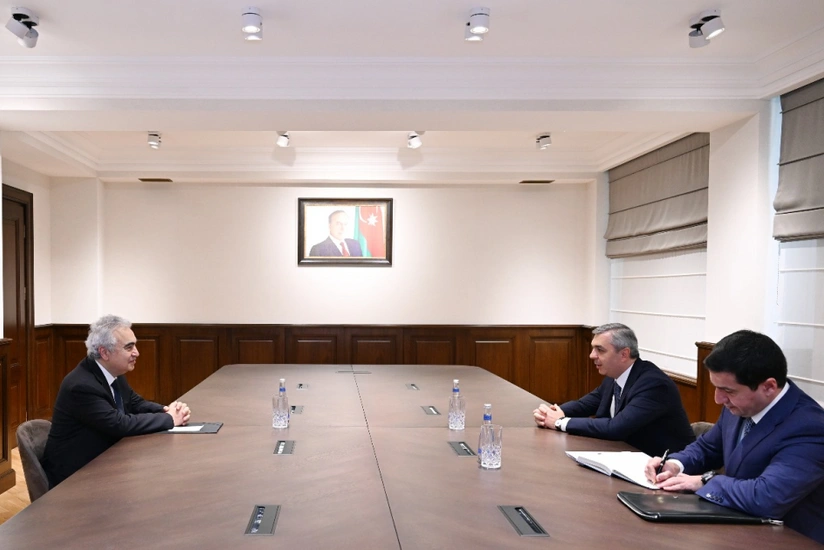 Глава Администрации президента провел встречу с исполнительным директором МЭА