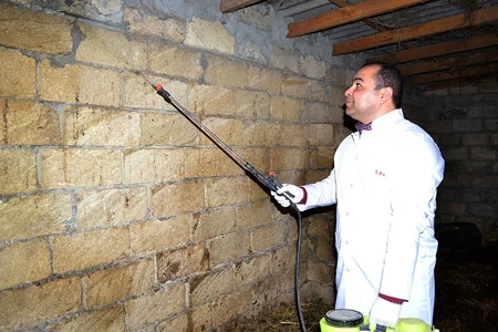 Zərdabda heyvanlar arasında iti yoluxucu xəstəliklərə qarşı profilaktik tədbirlər aparılır