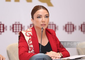 Aygün Əliyeva: QHT-lərin “Qərbi Azərbaycana qayıdış” istiqaməti üzrə indiki fəallığı heç vaxt olmayıb