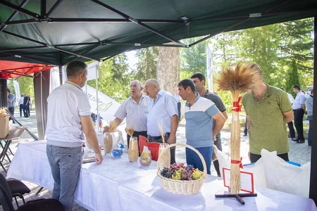 İsmayıllıda toxum sərgi-satış yarmarkası keçirilib