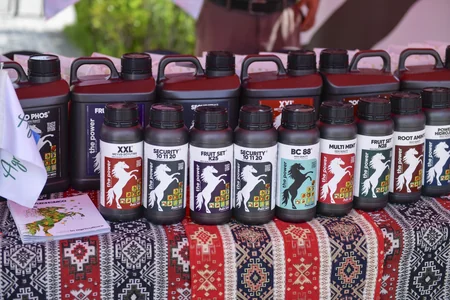 Gədəbəydə Aqrar Biznes Festivalı keçirilib