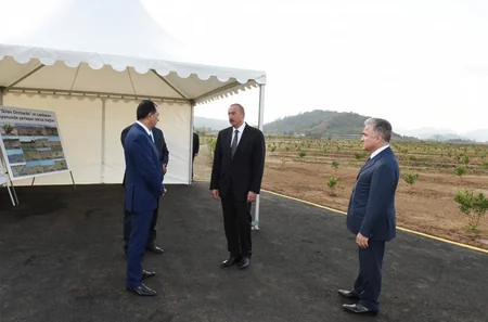 Prezident İlham Əliyev Lənkəranda “Gilan Orchards MMC tərəfindən salınmış sitrus bağları ilə tanış olub