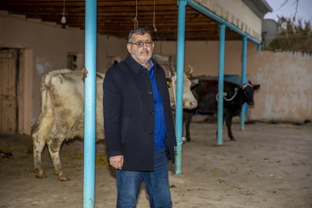 Daha bir qrup şəhid ailəsi və mülki şəxs üçün kiçik təsərrüfatlar yaradıldı