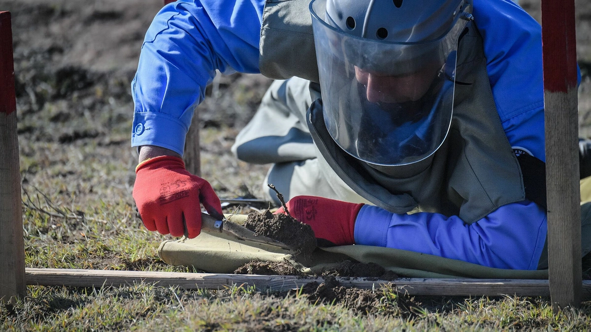 20 mines detected in Azerbaijan's liberated areas