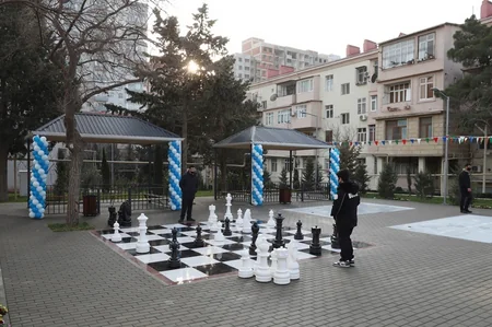 Leyla Əliyeva Bakıda abadlaşdırılan daha bir həyətin açılışını edib, ağac əkib