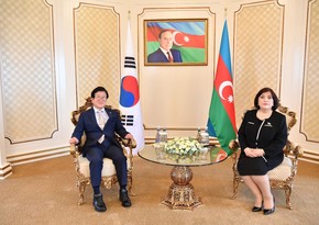 Sahibə Qafarova  Koreya Milli Assambleyasının sədri ilə görüşüb