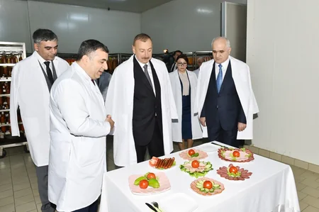 Prezident Abşeron rayonunda “Zəhmət-Ruzi” MMC-nin fəaliyyəti ilə tanış olub