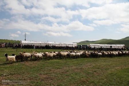 ​Qaradağ mahalında köçərilərin idman və mədəniyyət festivalı keçirilib