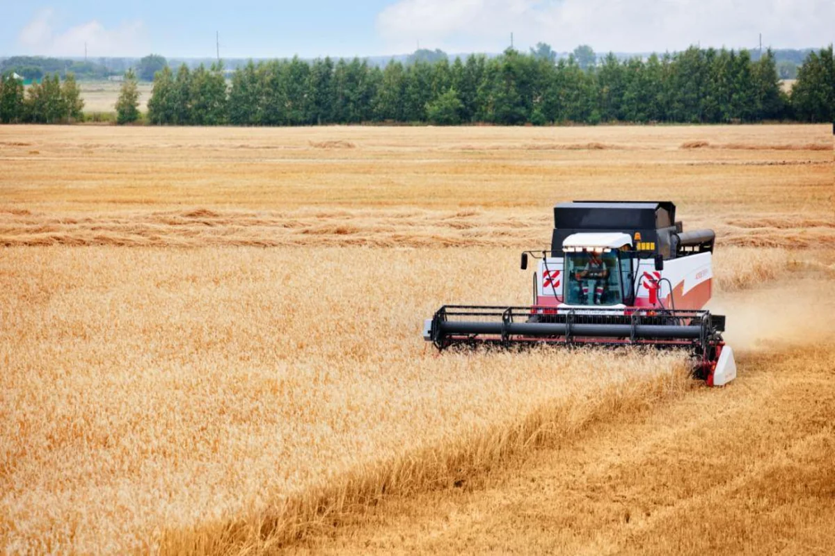 Azerbaijan will apply German experience in agricultural cooperation