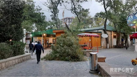 Bakıda parkda ağacın budaqları qırılaraq attraksionların üstünə düşüb - FOTO