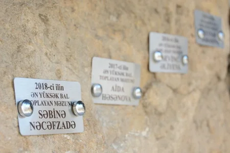 UNEC-də “Məzun Günü” keçirilib