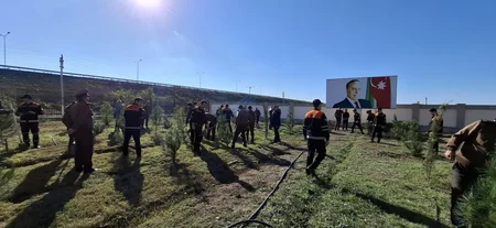 FHN-in Aran Regional Mərkəzi ağacəkmə aksiyası keçirib