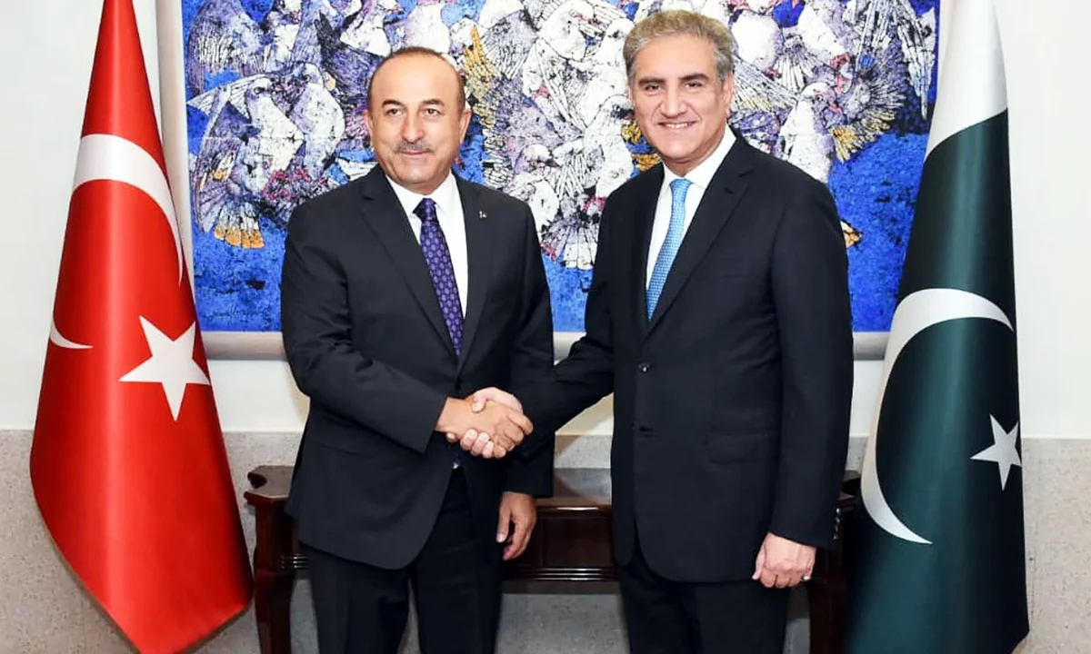 Pakistan, Turkey agree to adopt joint strategy at international level