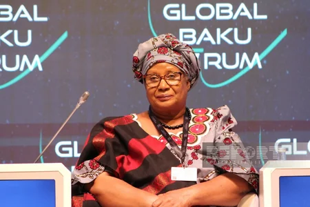 Bakı Forumu: “Afrikanın geostrateji əhəmiyyəti: Perspektivlər və çağırışlar” mövzusunda panel iclası keçirilib