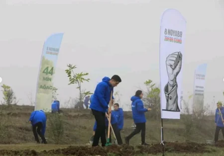 Mehriban Aliyeva makes another post on Victory Day