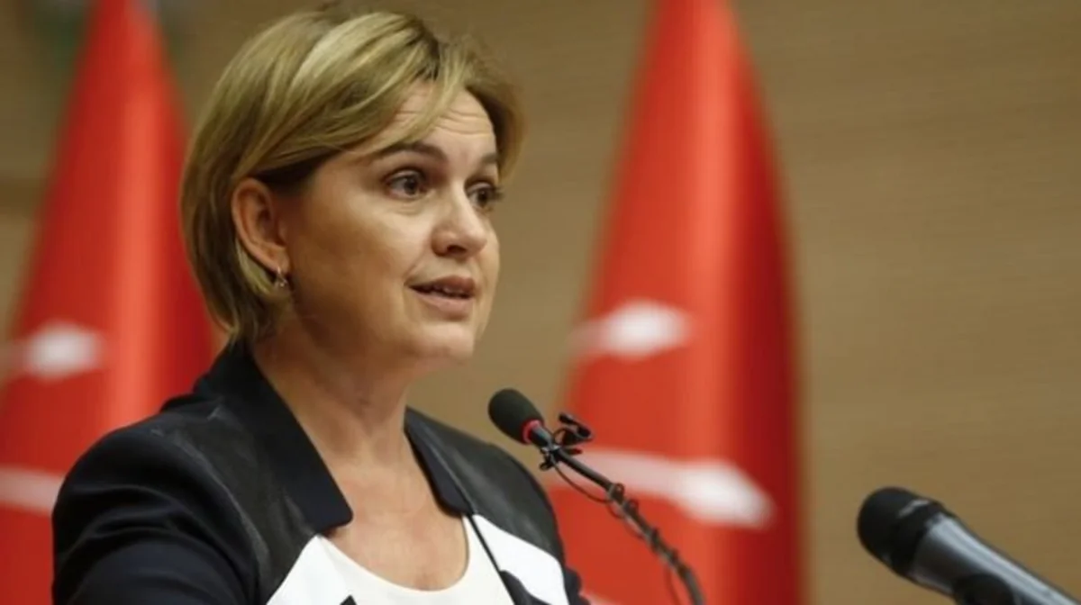 CHP sədrinin müavini və partiyanın sözçüsü tutduğu vəzifələrdən istefa verib