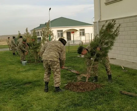 Azərbaycan Ordusunda ağacəkmə aksiyası davam edir
