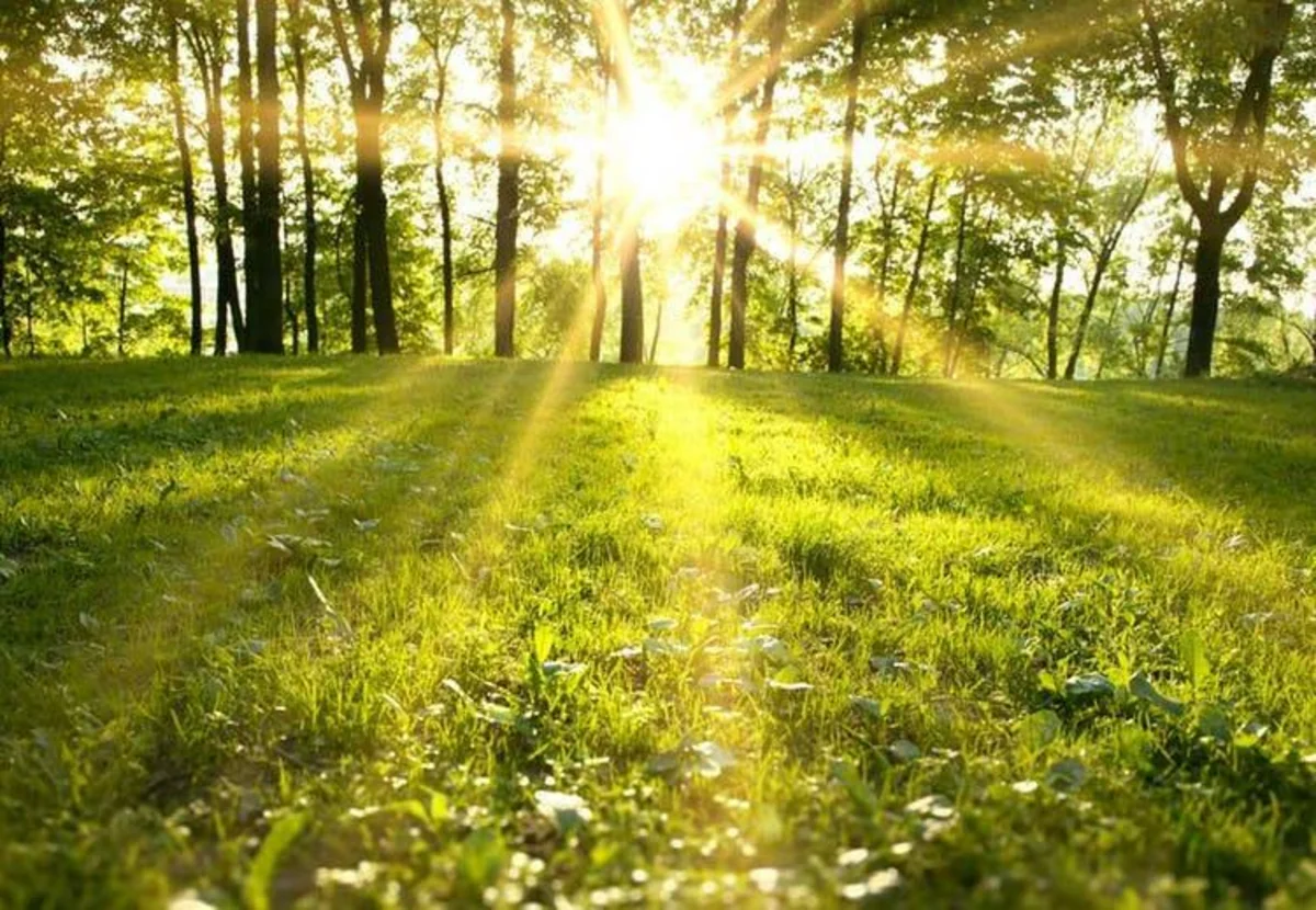 Forecasts Bureau: Stable weather condition expected in Azerbaijan in coming days