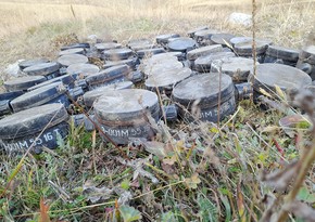 452 mines buried by Armenians in Dashkasan neutralized