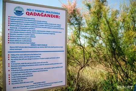 “Qartalın dimdiyi” - Şah dili burnundan - REPORTAJ - VİDEO
