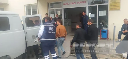 Oğuz sakini meşədə kəsdiyi ağacın altında qalıb