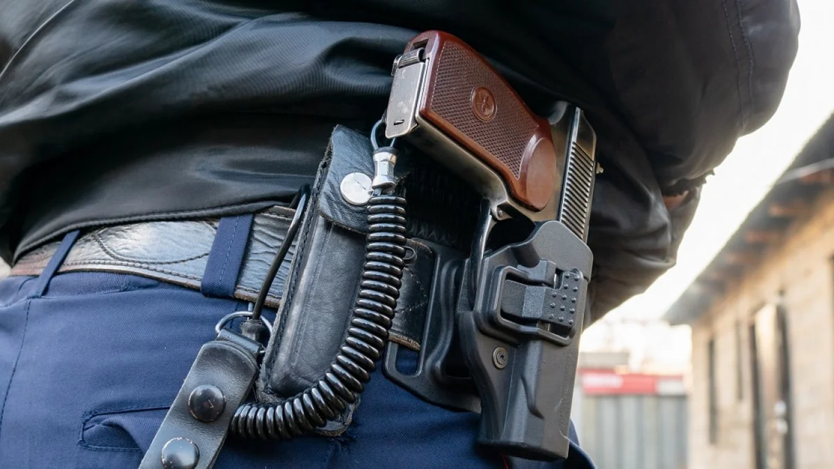 В Румынии в ходе обысков изъято около 300 единиц оружия и более 90 тыс. снарядов