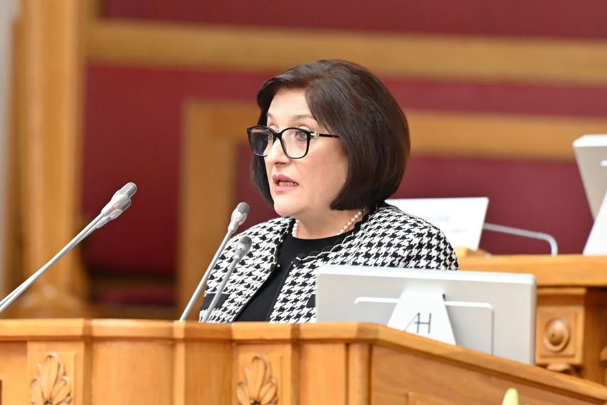 Speaker: Armenia abuses presence of EU mission and deliberately increases regional tension