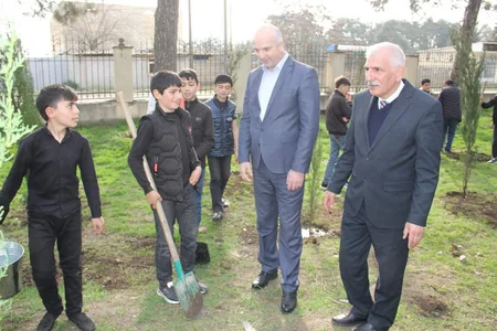 Cəlilabadda ağacəkmə aksiyası keçirilib