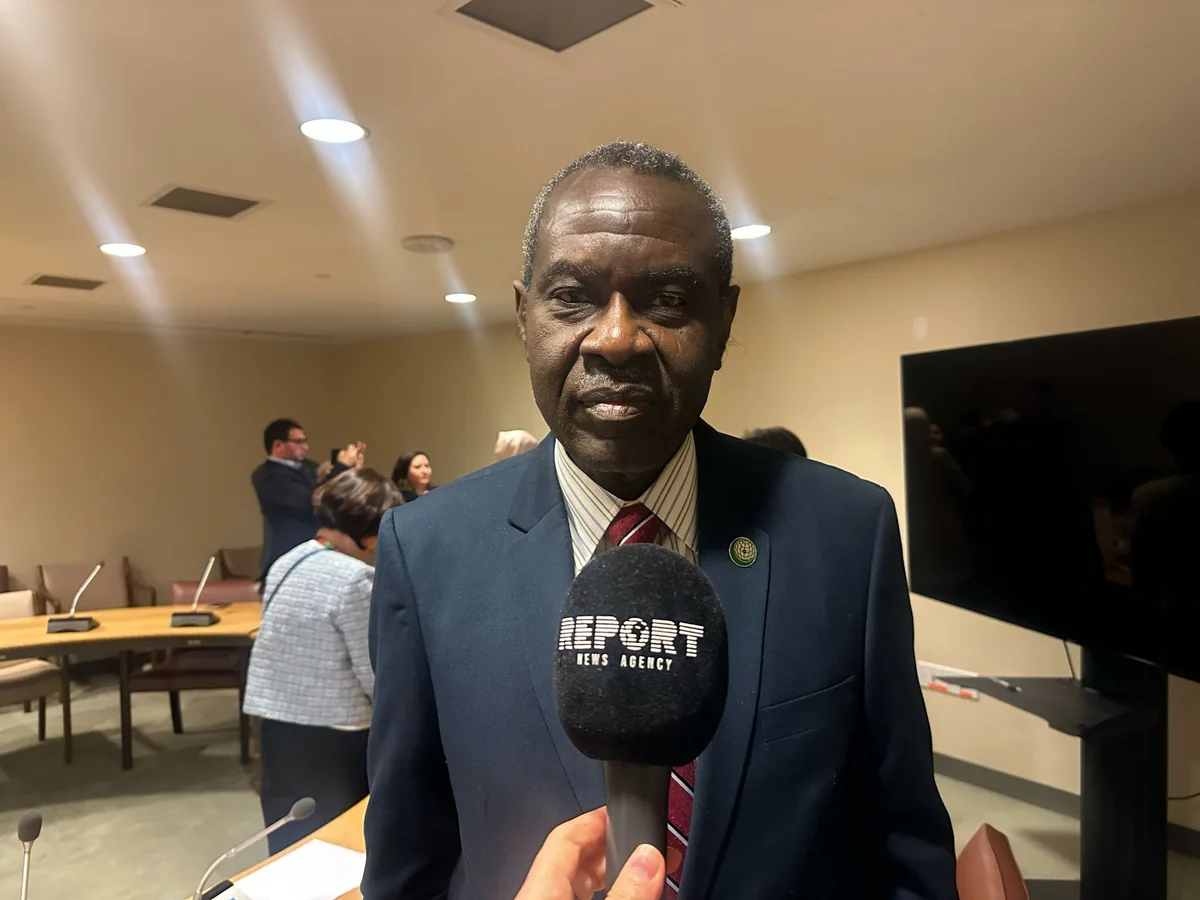 OIC official: Expanding cooperation is essential for implementing COP29 outcomes