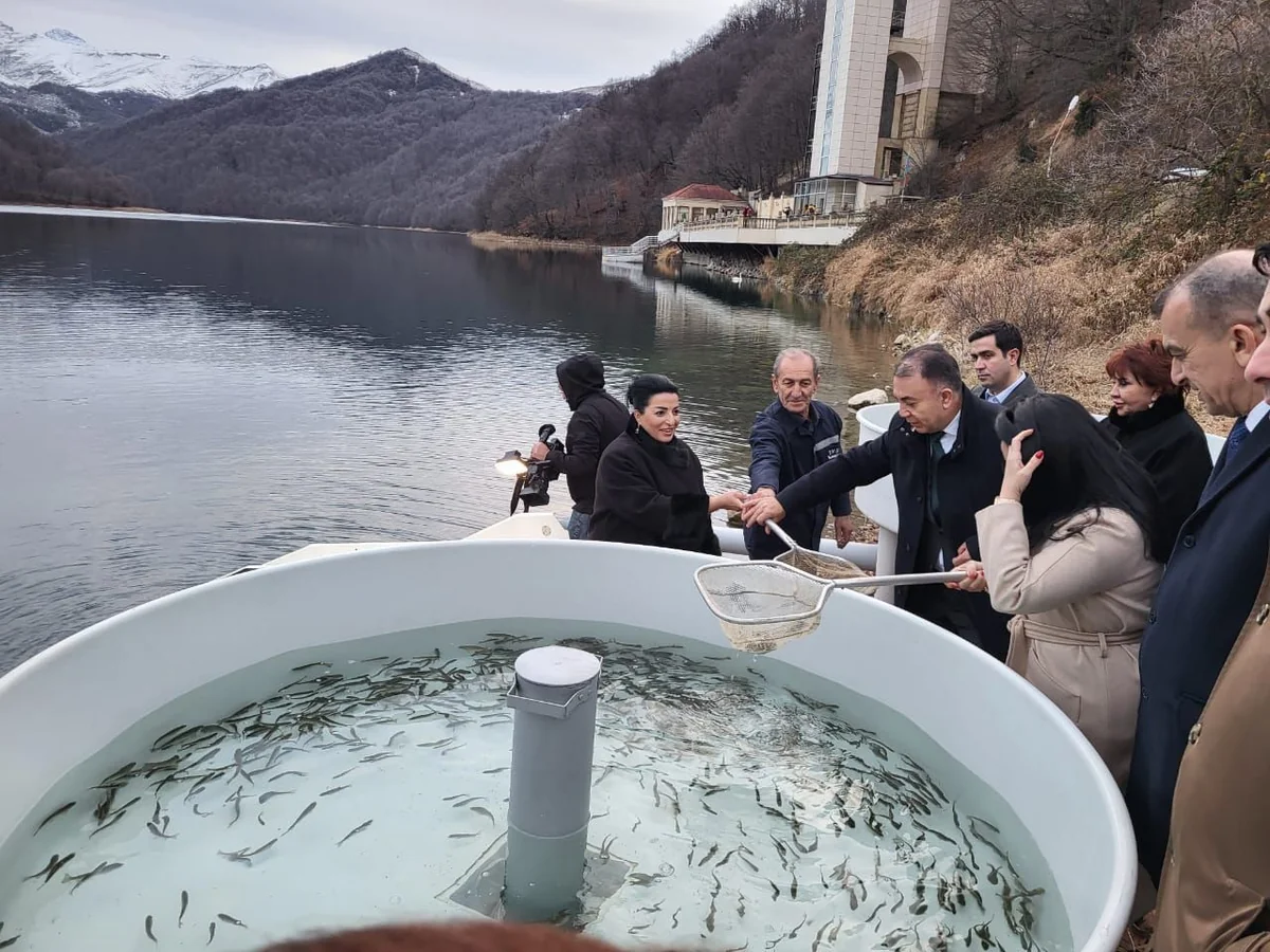 В Гейгельском национальном парке в водоем выпущено более 1 500 мальков