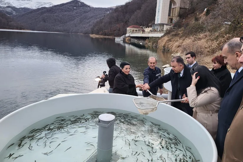 В Гейгельском национальном парке в водоем выпущено более 1 500 мальков