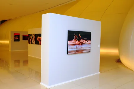 Heydar Aliyev Center launched solo exhibition of famous photographer