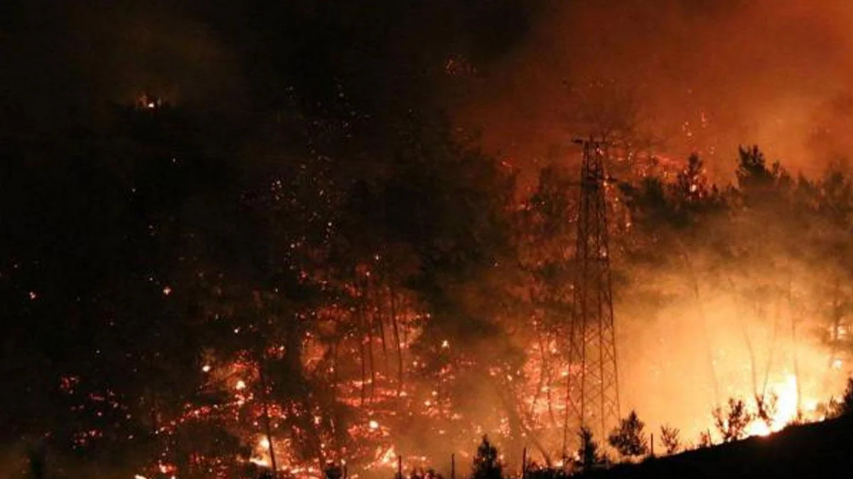 Azerbaijani Consulate General in Istanbul sets up non-stop hotline