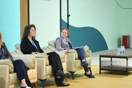COP29-da turizmdə iqlim fəaliyyətinin gücləndirilməsi istiqamətində tədbir keçirilib