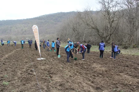 “Yaşıl Marafon” çərçivəsində Qubada meşəsalma aksiyası keçirilib