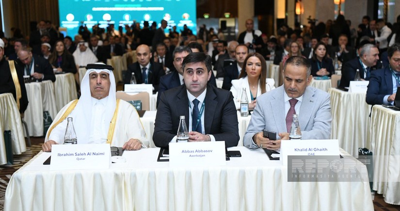 Film on Islamophobia cases occurring around world screened in Baku