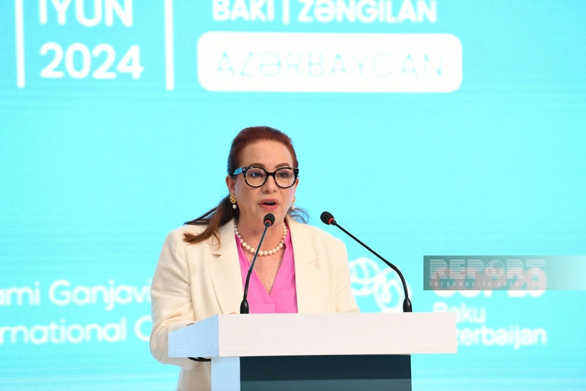 Председатель 73-ей сессии ГА ООН: Успех COP29 будет не только успехом Азербайджана