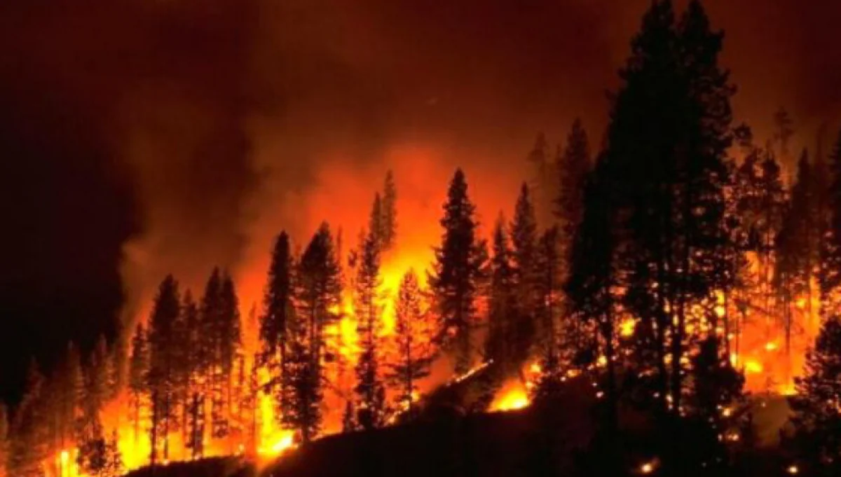 Rain to help clear Canada's air soon, but days away from Quebec fires