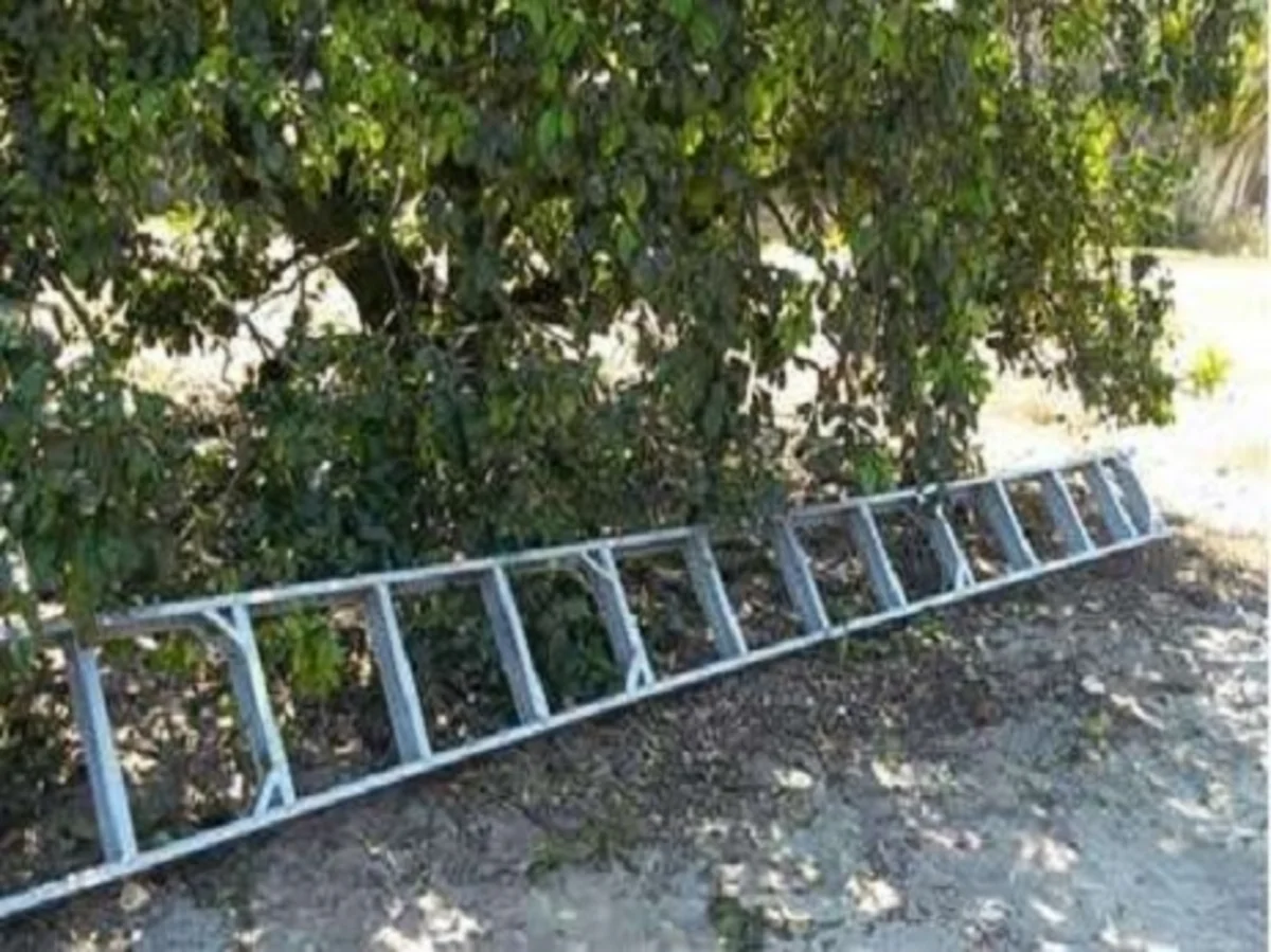 Yevlaxda 72 yaşlı qadın nərdivandan yıxılıb