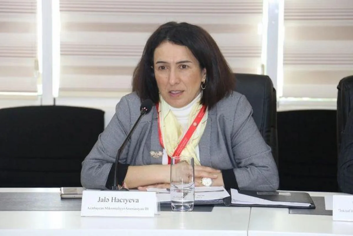 AMFA BOKT-lar üçün nizamnamə kapitalı tələbinin artırılmasına münasibət bildirib