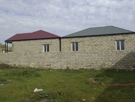 Asan qazanc hərisliyi COVID-19-dan daha yaşlı və qorxuludur - ARAŞDIRMA