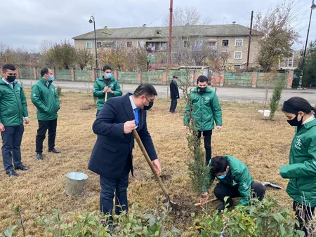 Kürdəmirdə şəhidlərin şərəfinə şam ağacları əkilib