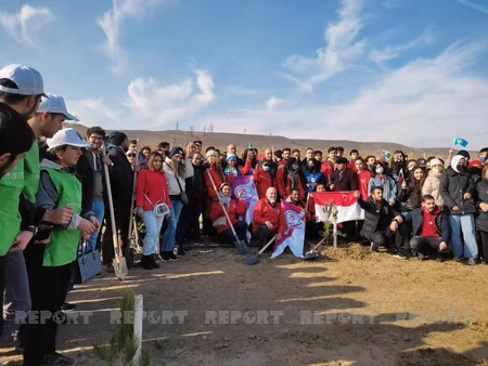 Xocasəndə 2000-dən çox müxtəlif cinsli ağac əkilib