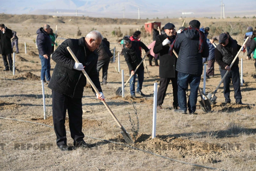 QHT-lər ağacəkmə kampaniyasında iştirak ediblər