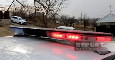 Naxçıvanda yararsız at əti mal əti adı altında restoranlara satılırmış