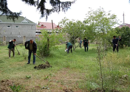 Dini komitə ibadət yerlərində ağacəkmə aksiyası keçirib