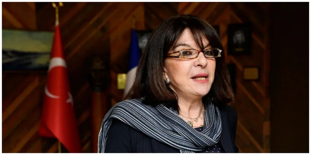 Member of French Senate: Resolution adopted against Azerbaijan has no power - EXCLUSIVE